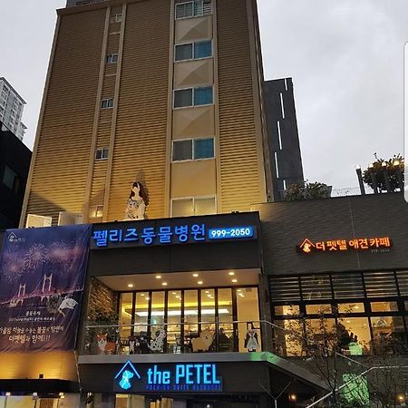 The Petel Premium Suite Μπουσάν Εξωτερικό φωτογραφία