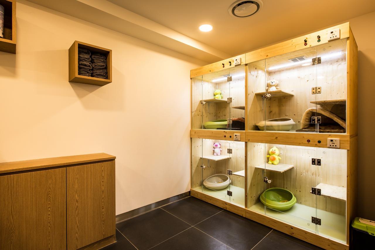 The Petel Premium Suite Μπουσάν Εξωτερικό φωτογραφία
