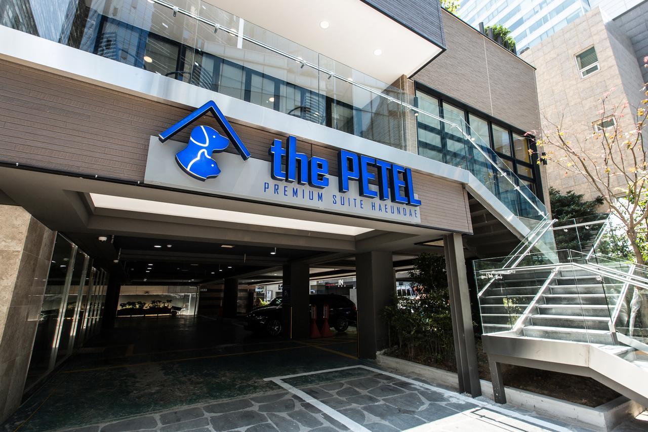 The Petel Premium Suite Μπουσάν Εξωτερικό φωτογραφία